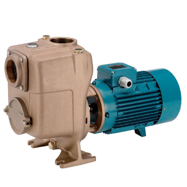Bomba Autocebante Impulsor Abierto A 65-150A-60/B - 5.5 HP